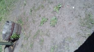 20170507_112514.jpg